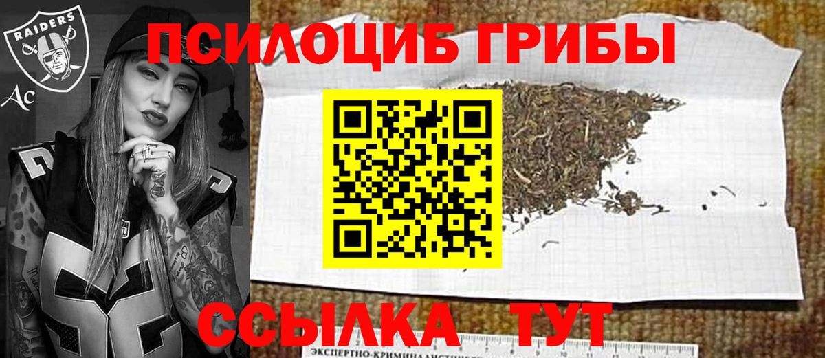 Псилоцибиновые грибы Psilocybine cubensis Изобильный